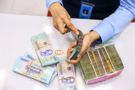 Các chuyên gia kỳ vọng lãi suất điều hành sẽ tiếp tục giảm. (Ảnh: Minh Sơn/Vietnam+)