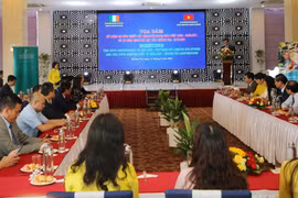 Quang cảnh buổi tọa đàm. (Ảnh: Thanh Thủy/TTXVN)