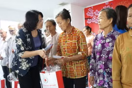 Phó Chủ tịch nước Đặng Thị Ngọc Thịnh tặng quà Tết cho hộ nghèo ở huyện Đức Hòa, tỉnh Long An. (Ảnh: Bùi Giang/TTXVN)