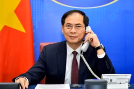 Bộ trưởng Ngoại giao Bùi Thanh Sơn điện đàm với Bộ trưởng Ngoại giao Ba Lan Zbigniew Rau. (Ảnh: TTXVN phát)