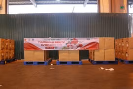 Lô hàng hơn 3 tấn vải thiều đã được sàn thương mại điện tử Vò Sò xuất khẩu thành công sang Đức. (Nguồn: baodautu)