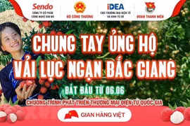 Hình ảnh vải thiều được quảng bá trên các trang thương mại điện tử. (Ảnh: TTXVN)