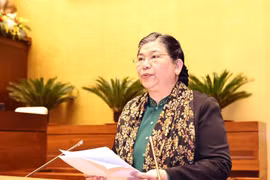 Phó Bí thư Đảng đoàn, Phó Chủ tịch Thường trực Quốc hội Tòng Thị Phóng phát biểu. (Ảnh: Trọng Đức/TTXVN)
