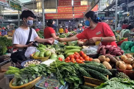 Ảnh minh họa. (Nguồn: TTXVN)