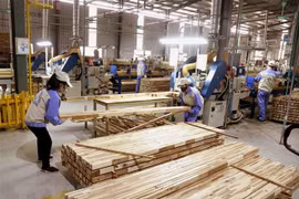 Sản xuất sản phẩm đồ gỗ xuất khẩu sang thị trường EU của Công ty CP WOODSLAND Tuyên Quang. (Ảnh: Vũ Sinh/TTXVN)