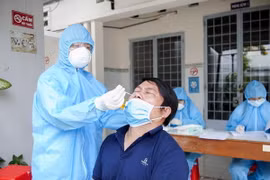 Lấy mẫu xét nghiệm COVID-19. (Ảnh: Hồng Đạt/TTXVN)