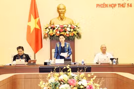 Chủ tịch Quốc hội Nguyễn Thị Kim Ngân. (Ảnh: Trọng Đức/TTXVN)