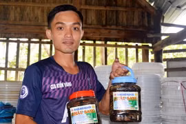Sản phẩm ba khía muối được các hộ làm nghề tại huyện Ngọc Hiển, tỉnh Cà Mau. (Ảnh: Huỳnh Anh/TTXVN)