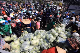 Người dân đội nắng nườm nượp đến mua ủng hộ nông sản Hải Dương trưa 21/2 tại 38 Giải Phóng (Hà Nội). (Ảnh: Thành Đạt/TTXVN)