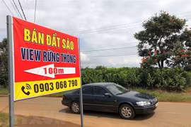 Ảnh minh họa. (Nguồn: TTXVN phát)