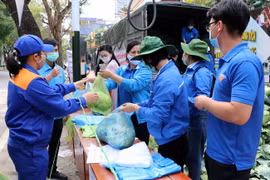 Thanh niên tình nguyện thu mua, vận chuyển tiêu thụ hộ bà con nông dân. (Ảnh: TTXVN phát)