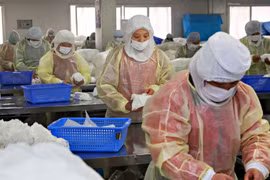 Một cơ sở sản xuất khẩu trang ở Trung Quốc. (Nguồn: AFP)