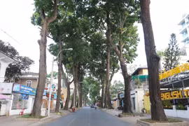 Đường Trần Quốc Thảo, Quận 3, Thành phố Hồ Chí Minh giờ đây vắng bóng người và cả phương tiện giao thông. (Ảnh: Thanh Vũ/TTXVN) 
