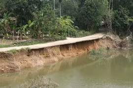 (Ảnh minh họa: Hồ Cầu/TTXVN)
