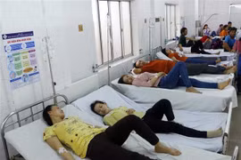 (Ảnh minh họa: Thanh Liêm/TTXVN)