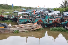 (Ảnh minh họa: Công Luật/TTXVN)