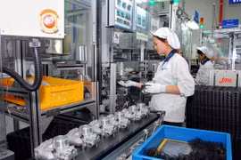 Ảnh minh họa. (Nguồn:Danh Lam - TTXVN)