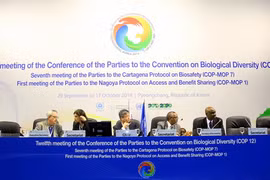 ASEAN cam kết đẩy mạnh bảo tồn đa dạng sinh học
