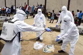 Hàn Quốc sẽ cử đoàn hỗ trợ y tế tới Tây Phi để chống dịch Ebola