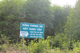 Tây Ninh sẽ di đời trên 1.000 hộ dân ra khỏi đất lâm nghiệp