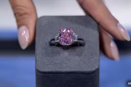 Eternal Pink được định giá 35 triệu USD. (Nguồn: AFP)