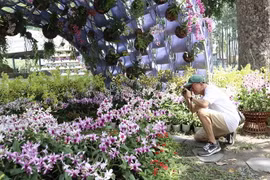Khách tham quan bị thu hút bởi các tiểu cảnh đẹp mắt tại Festival hoa lan Thành phố Hồ Chí Minh lần thứ hai năm 2023. (Ảnh: Xuân Anh/TTXVN)