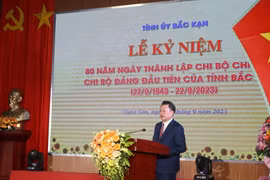 Ông Hoàng Duy Chinh, Bí thư Tỉnh ủy Bắc Kạn phát biểu. (Ảnh: Vũ Hoàng Giang/TTXVN)