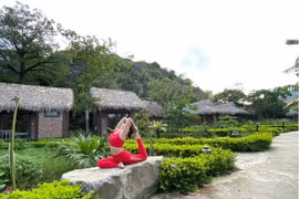 Tập Yoga giữa thiên nhiên trong lành để kiểm soát và cân bằng cảm xúc. (Nguồn: Vietnam+) 