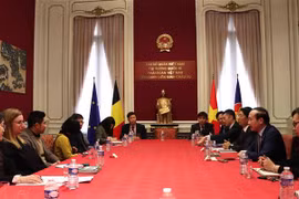 Quang cảnh buổi tọa đàm. (Ảnh: Hương Giang/TTXVN)