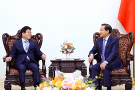 Phó Thủ tướng Lê Minh Khái tiếp nguyên Chủ tịch Quốc hội Hàn Quốc Park Byeong-Seug. (Ảnh: An Đăng/TTXVN)