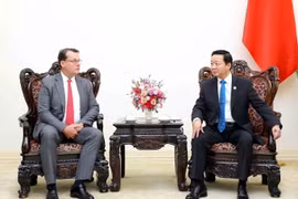 Phó Thủ tướng Trần Hồng Hà tiếp Giám đốc Chiến lược Toàn cầu kiêm Giám đốc Điều hành Cấp cao Tập đoàn Năng lượng JERA (Nhật Bản) Steven Winn. (Ảnh: An Đăng/TTXVN)