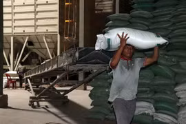 Giá gạo Việt Nam diễn biến trái chiều với giá gạo Ấn Độ, Thái Lan