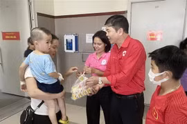 Đại diện Hội Chữ thập Đỏ tỉnh Lạng Sơn tặng cơm và sữa cho gia đình bệnh nhi nghèo, khuyết tật. (Ảnh: Anh Tuấn/TTXVN)