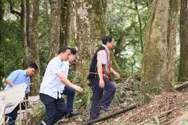 Thủ tướng Phạm Minh Chính khảo sát tại vườn sâm Ngọc Linh tại xã Măng Ri, huyện Tu Mơ Rông, Kon Tum. (Ảnh: Dương Giang/TTXVN)