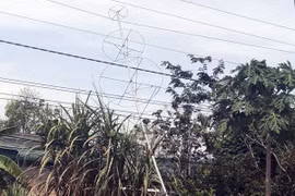 Khung sắt hình cây thông bị vướng vào đường điện. (Nguồn: VNN)