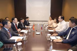 Chủ tịch Quốc hội Vương Đình Huệ gặp Chủ tịch Hạ viện Philippines Martin Romualdez. (Ảnh: Doãn Tấn/TTXVN)