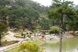 Một góc Đà Lạt. (Nguồn: TTXVN)