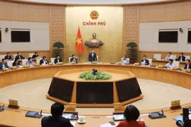 Phó Thủ tướng Trần Lưu Quang chủ trì cuộc họp. (Ảnh: Lâm Khánh/TTXVN)