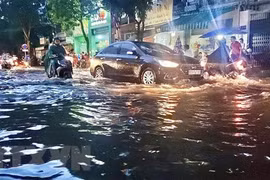 (Ảnh minh họa: Hồng Giang/TTXVN)