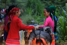 5h sáng, nhiều bà con đã có mặt tại chợ. (Ảnh: Hoàng Hiếu/TTXVN)