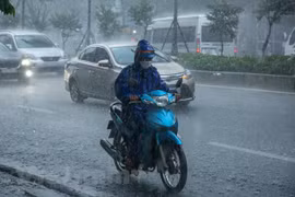 Ảnh minh họa. (Nguồn: Vietnam+)