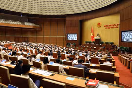 Quang cảnh phiên họp. (Ảnh: An Đăng/TTXVN)