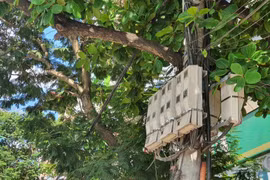 (Nguồn: Vietnam+)