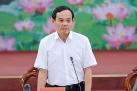 Phó Thủ tướng Trần Lưu Quang. (Ảnh: Dương Giang/TTXVN)