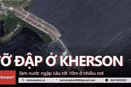 (Nguồn: Vietnam+)