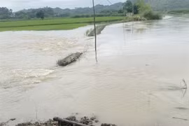Mưa lớn gây ngập tuyến đường giao thông nội đồng ở Đắk Lắk. (Ảnh: TTXVN phát)