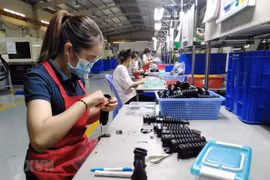 Công nhân tại một nhà máy ở Đồng Nai. (Ảnh: Minh Hưng/TTXVN)