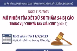 Xét xử sơ thẩm 54 bị cáo trong vụ 'chuyến bay giải cứu.'