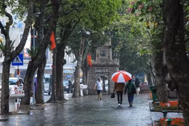 (Ảnh minh họa: Tuấn Anh/TTXVN)
