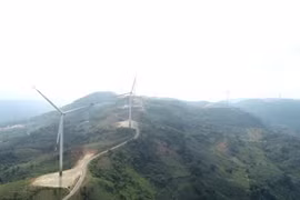 Tại huyện Hướng Hóa, hàng chục dự án điện gió đã đi vào vận hành, tạo thành những cánh đồng điện gió có cảnh quan hấp dẫn du khách. (Ảnh: Nguyên Lý/TTXVN)